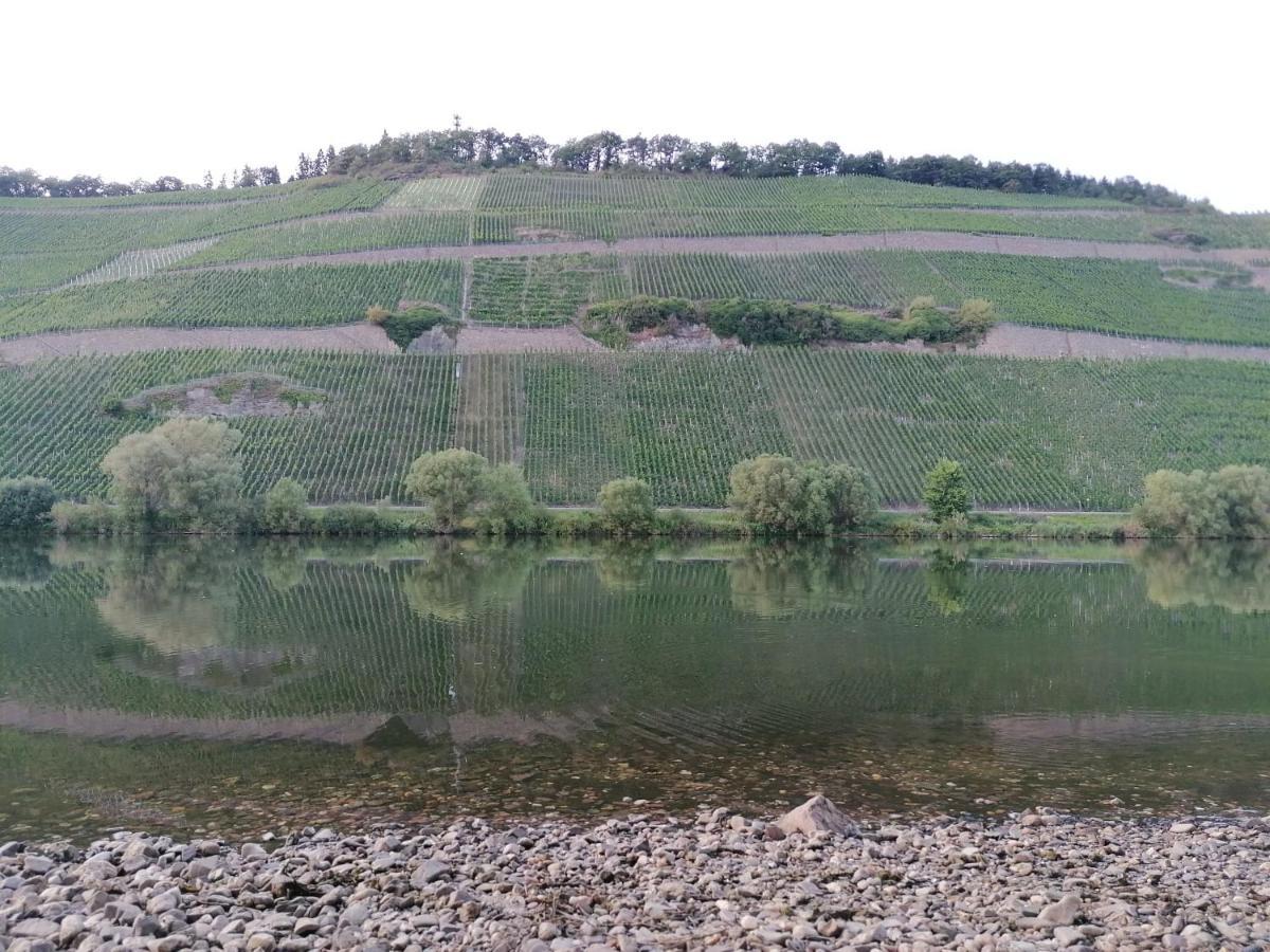 Fewo Sonnenlay - Apartments An Der Mosel Brauneberg Exterior photo
