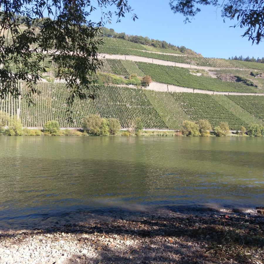 Fewo Sonnenlay - Apartments An Der Mosel Brauneberg Exterior photo